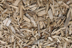 biomass boilers Brindwoodgate